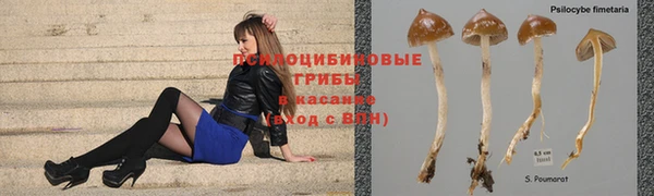 ALPHA PVP Алексин
