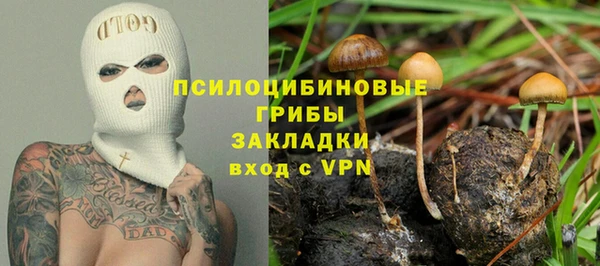 гидропоника Алзамай
