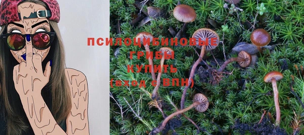 гидропоника Алзамай