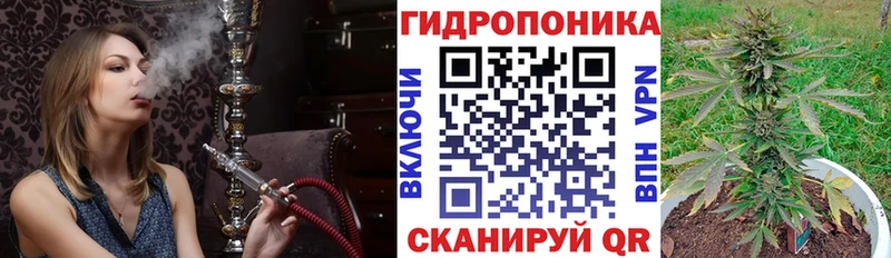 Канабис план  Пошехонье 